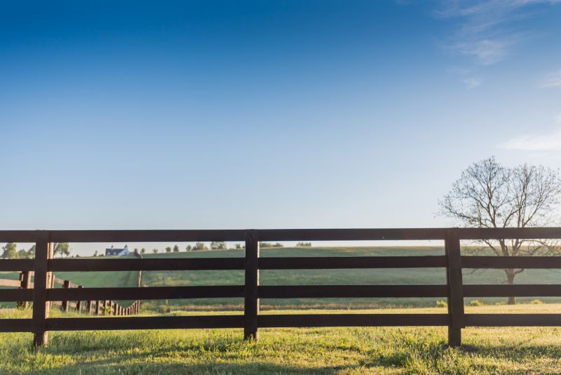 Equine Fence Installation in Pearland, TX