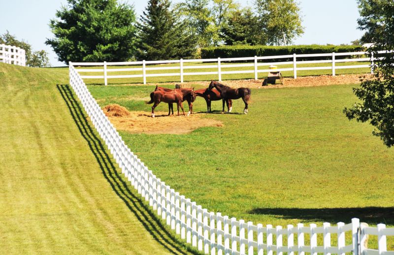 Equine Fence Installation in Sacramento, CA