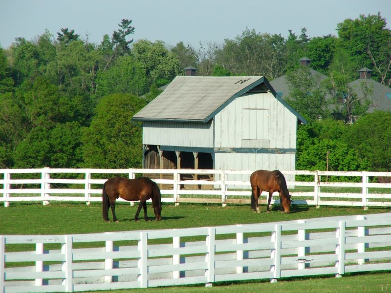 Horse Fence Replacement in South Houston, TX