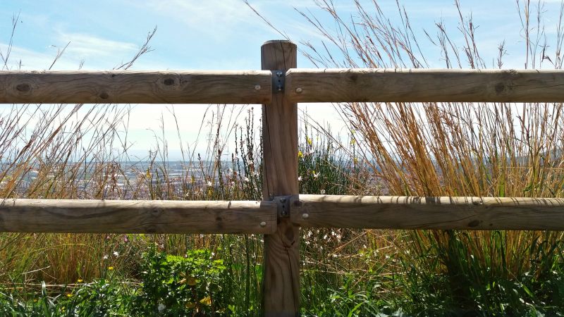 Stable Fencing Installation in Roseville, CA